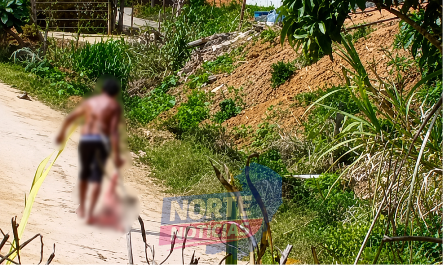 Cadela comunitária morre após ser espancada e golpeada com facão em Dores do Rio Preto