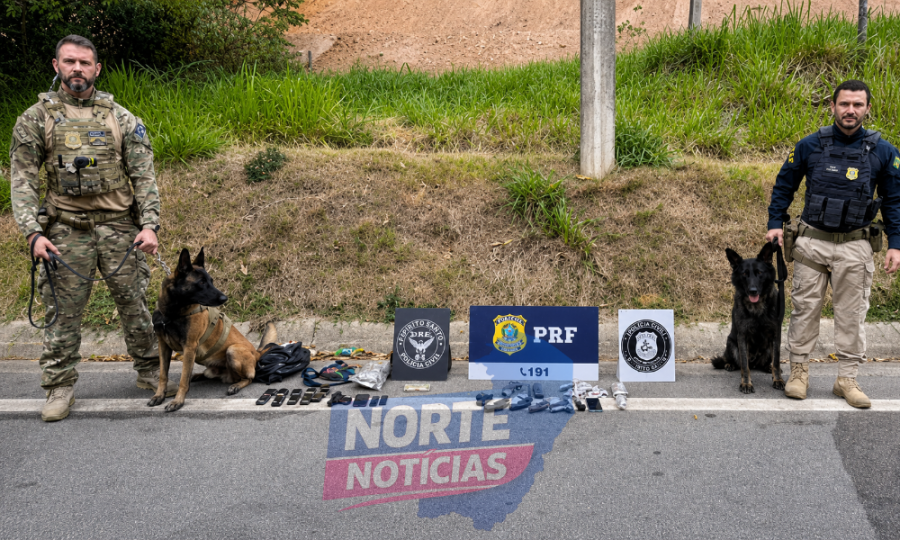 Grávida e adolescente são flagrados com cinco armas e drogas em ônibus